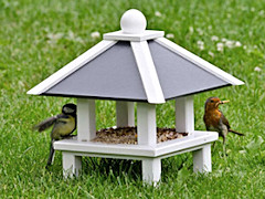 bird feeder - ground