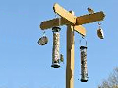 feeding station - signpost