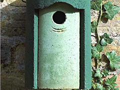 nest box