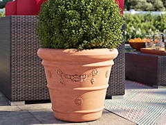 terracotta pot